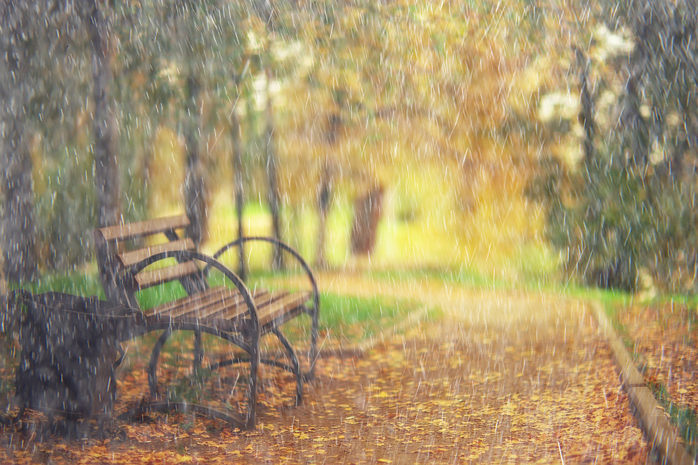 View of park bench while its pouring rain. Seasonal depression concept.